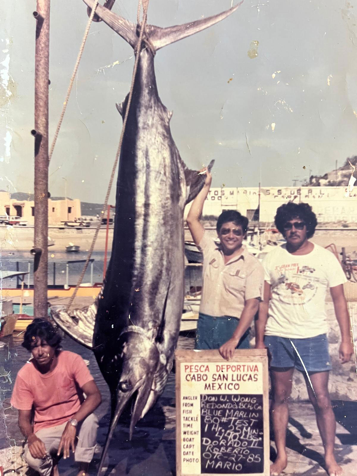 A 440-pound Blue Marlin caught in 45 minutes while trolling using a False Line. ----