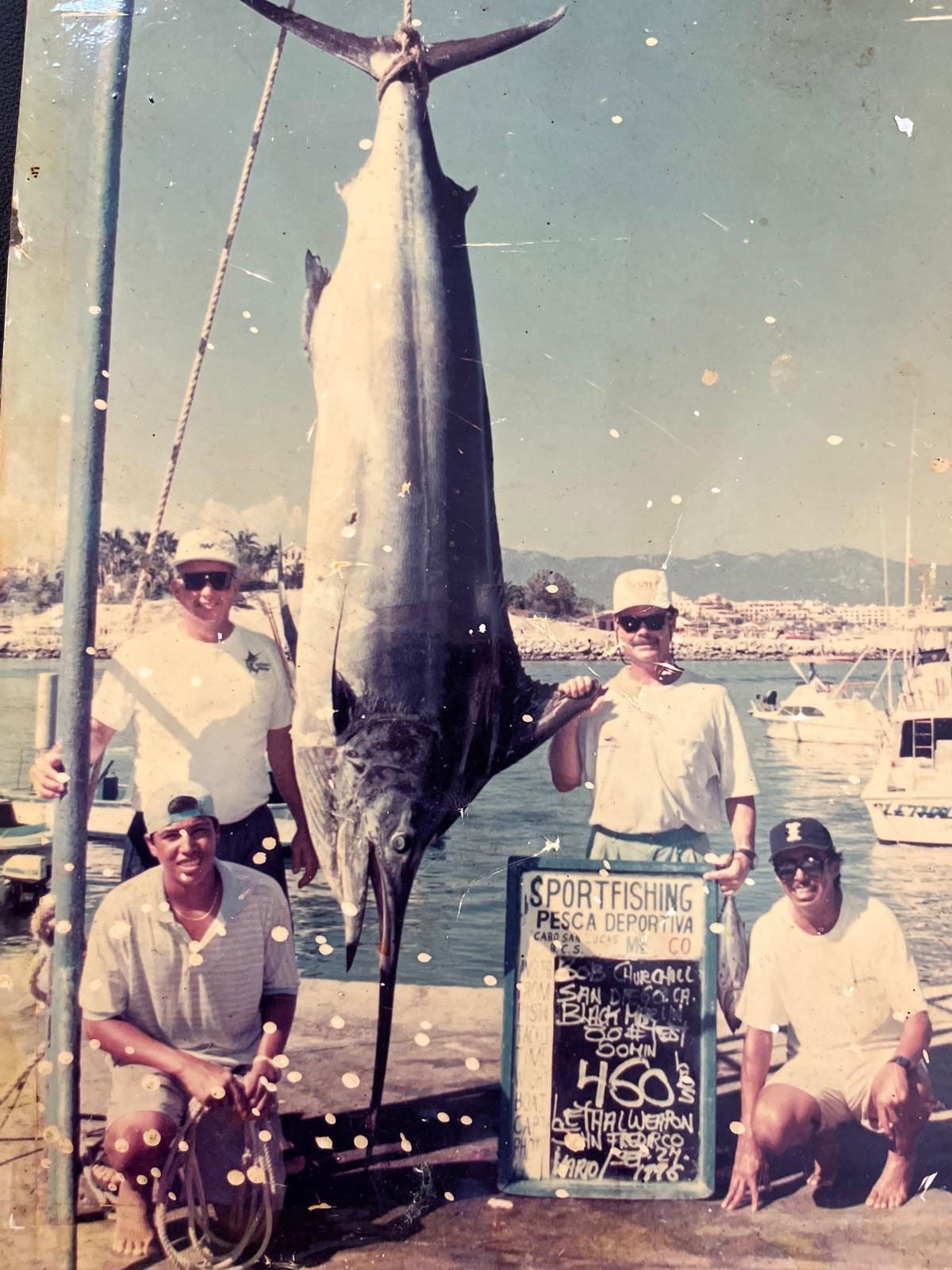 We caught a Black Marlin 15 miles off Cabo San Lucas. Using a 50-pound line, it took 60 minutes of trolling to reel it in. ----