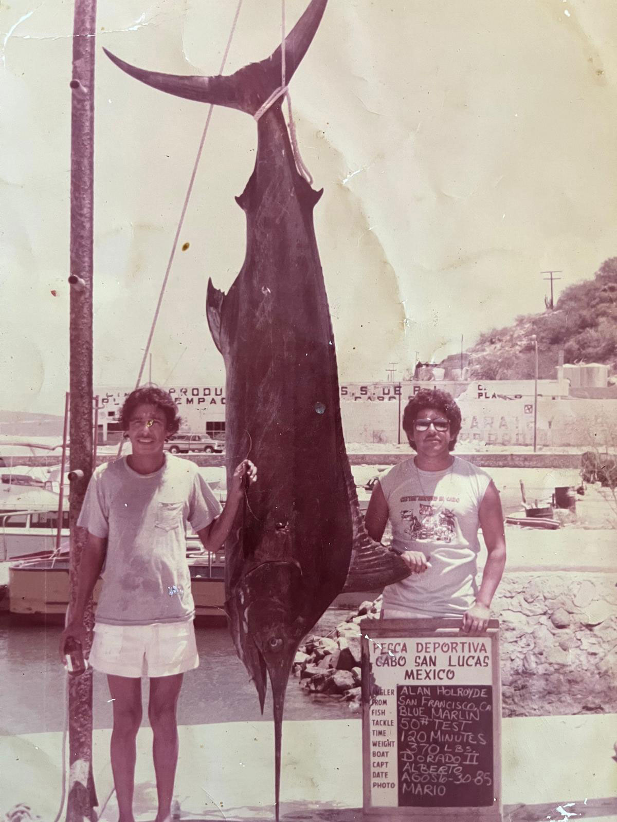 A 370-pound Blue Marlin caught while trolling for 1 hour and 20 minutes using a 50-pound line. ----