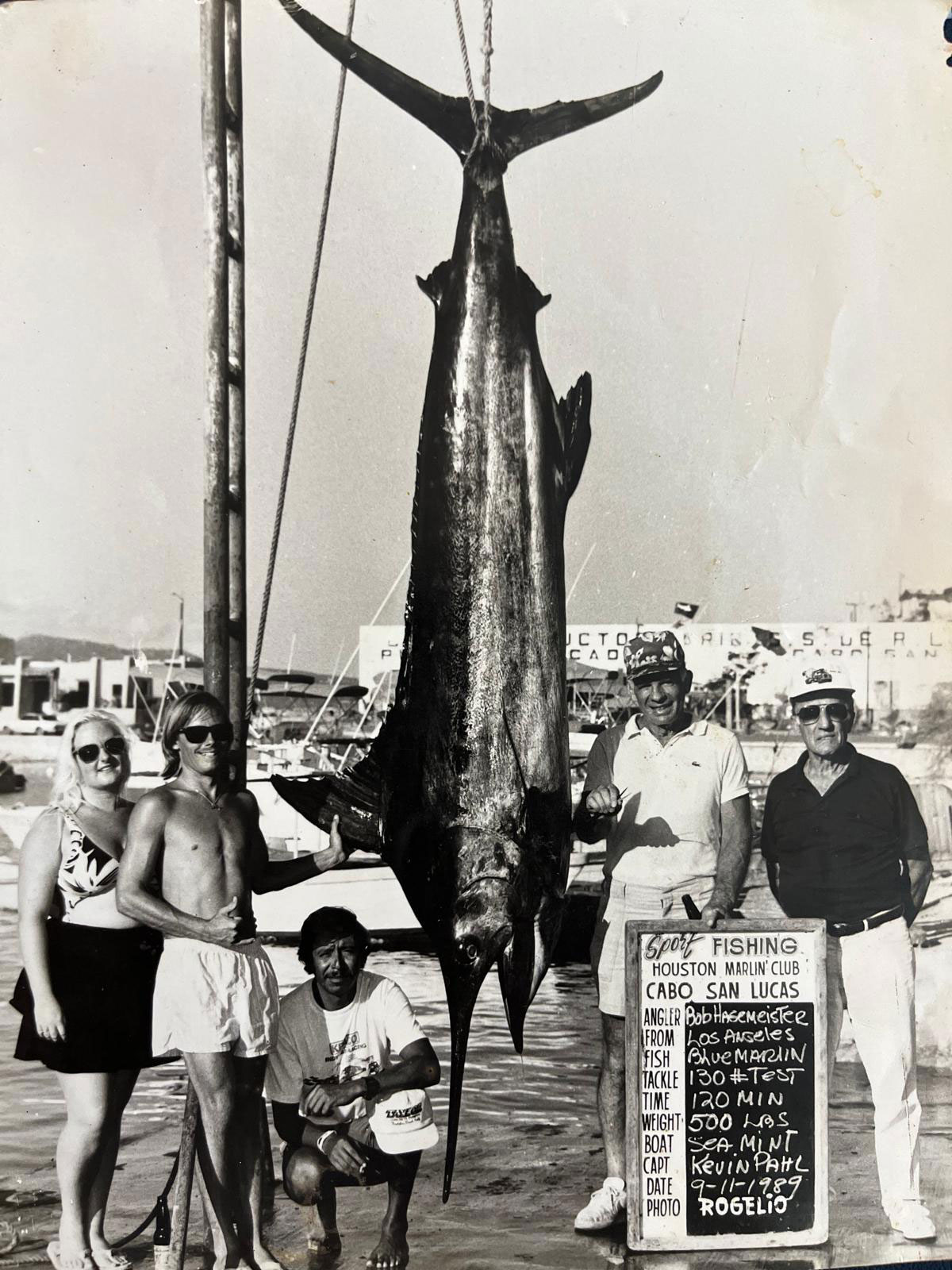 A golden-backed Blue Marlin caught while trolling with a 130-pound line. The 500-pound fish took 1 hour and 20 minutes to reel in. ----