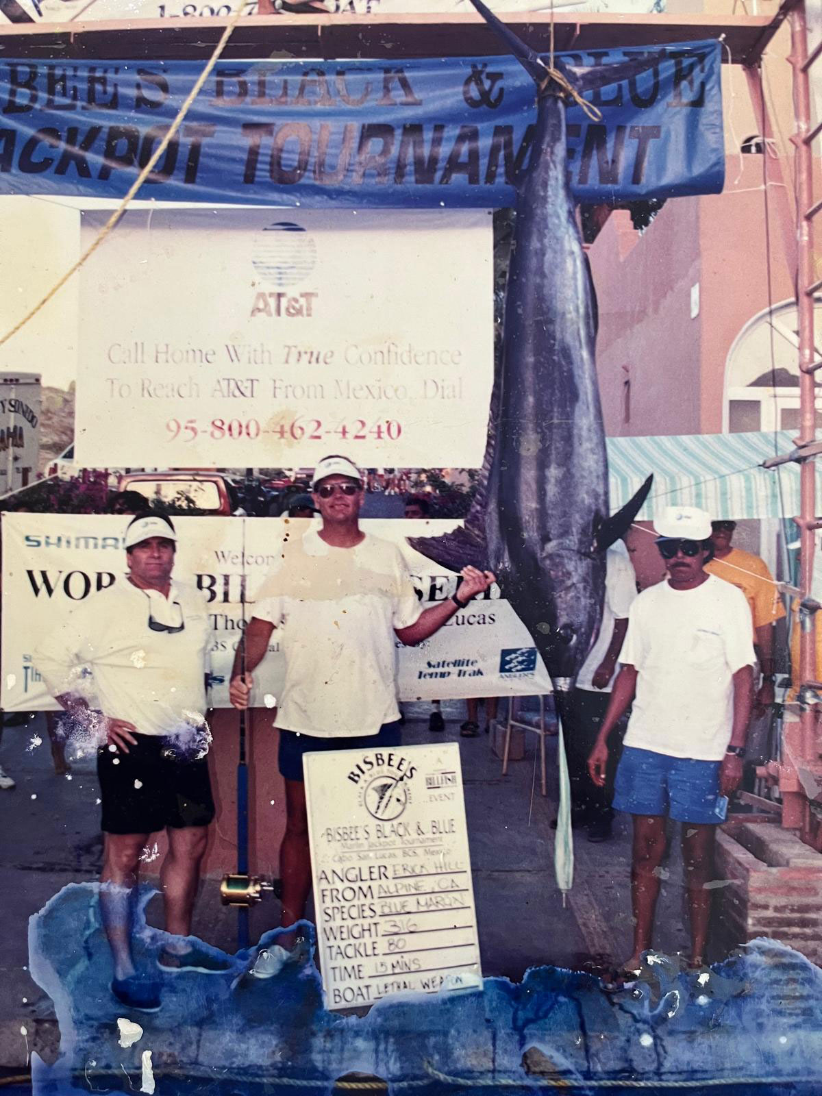 A 316-pound Blue Marlin caught with live bait in 15 minutes during the Bisbee Tournament. ----