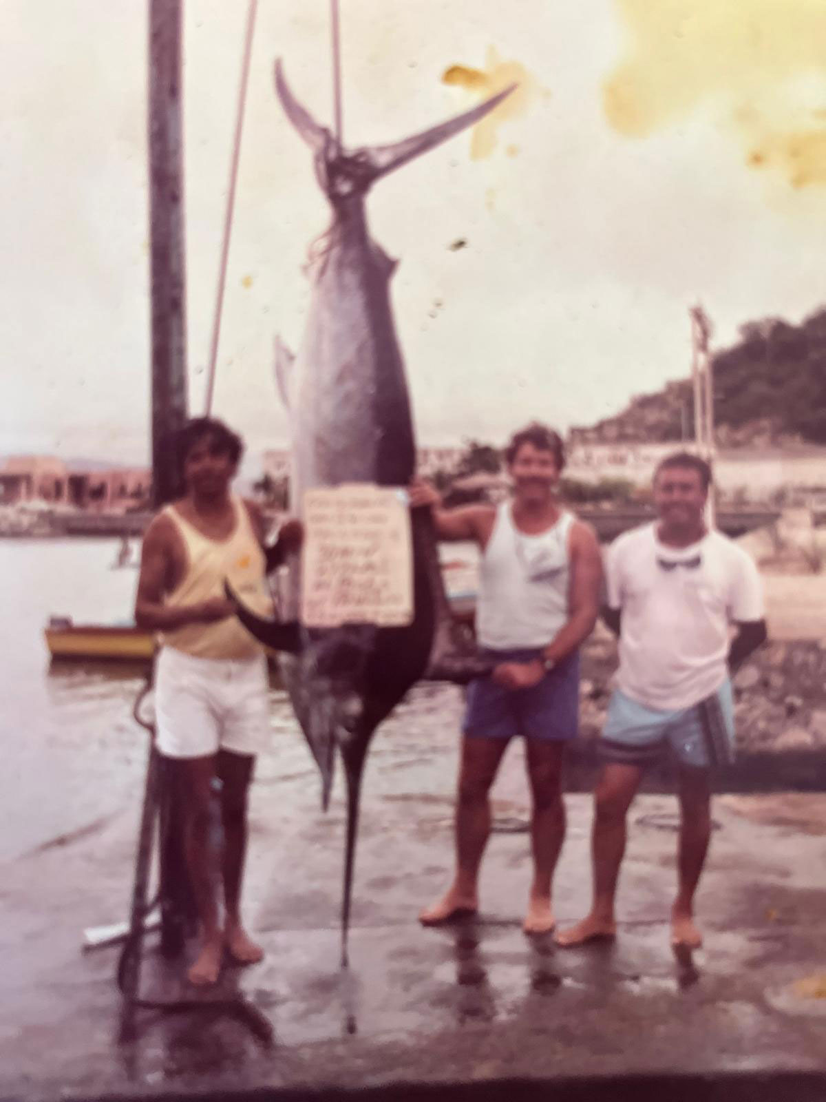 A 355-pound Black Marlin caught at Gordo Bank in 45 minutes using live tuna bait. ----