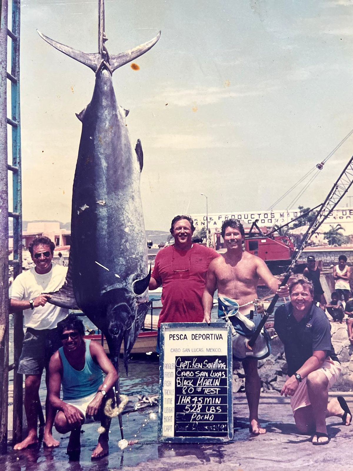 We caught a 528 lb Black Marlin at Fat Bank using prickly pear bait. It took 1 hour and 45 minutes to reel it in alive. Cabo San Lucas, Mexico ----