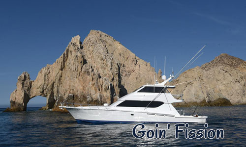 Full Day Charter Adventure Charter Fishing in Cabo 8 Hours