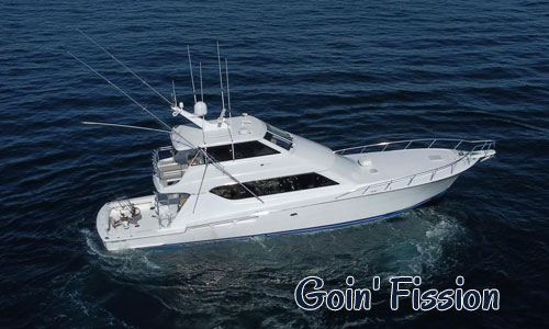 Half Day Charter Adventure Charter Fishing in Cabo 4 Hours