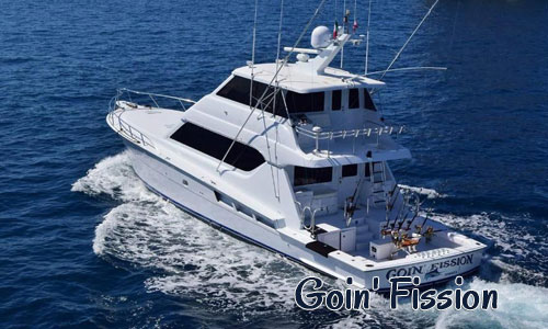 Private Events Charter Adventure Charter Fishing in Cabo Customizable