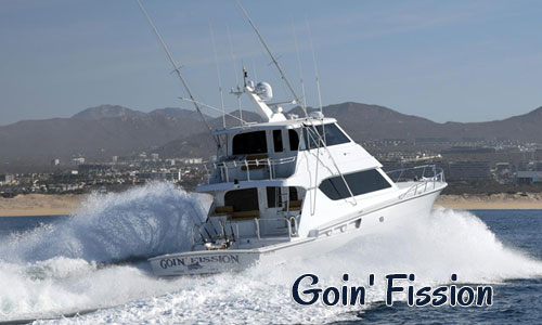 Snorkeling trips Adventure Charter Fishing in Cabo Customizable