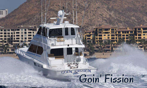 Sunset Charter Adventure Charter Fishing in Cabo 2.5 Hours