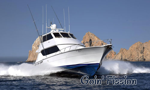 Whale watching Charter Adventure Charter Fishing in Cabo 2.5 Hours