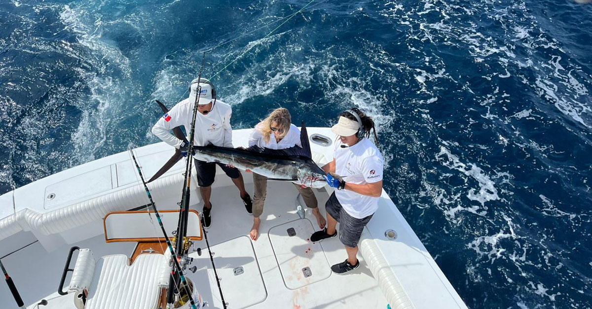 2025 Los Cabos Billfish Tournament Charter in Cabo